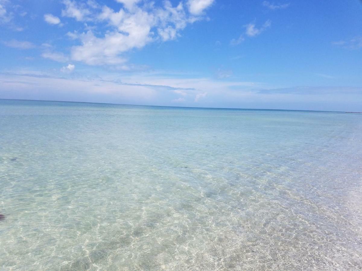 Amazing Panoramic Beach View And The Most Beautiful Sunset ロングボートキー エクステリア 写真